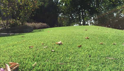 Turf Solutions for Eco-Friendly Landscapes